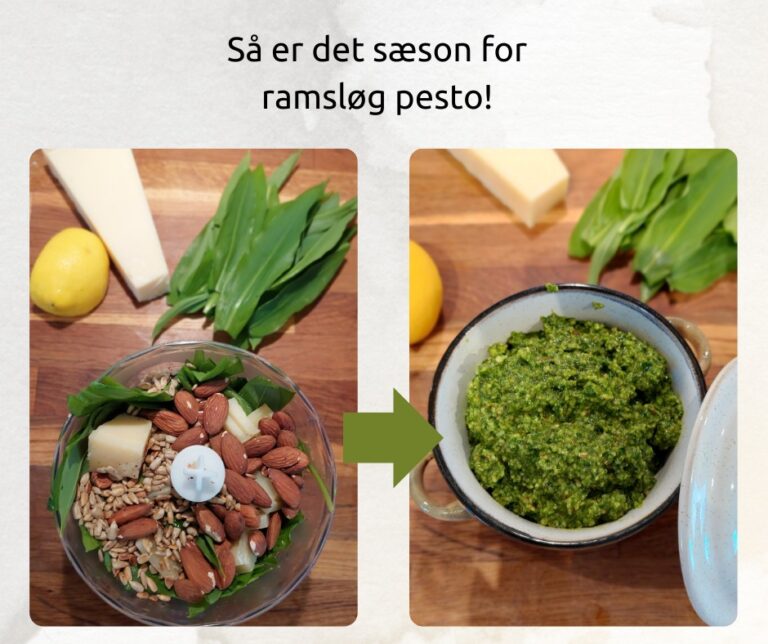 Ramsløg pesto